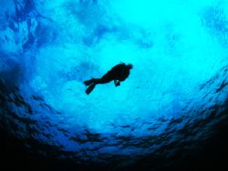 Taken in Deep water on Safety Stop by Scott Brauninger 